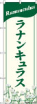 Τܤꡡʥ󥭥饹