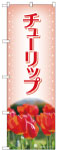のぼり　チューリップ